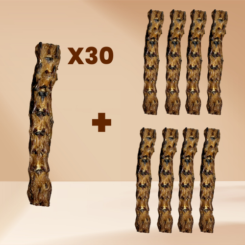 Crunchy Chicken Neck