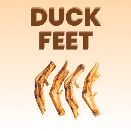 Duck Feet