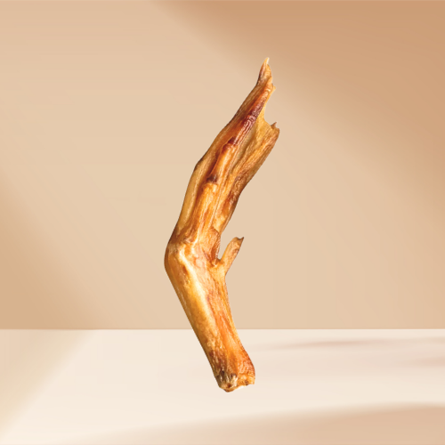 Duck Feet
