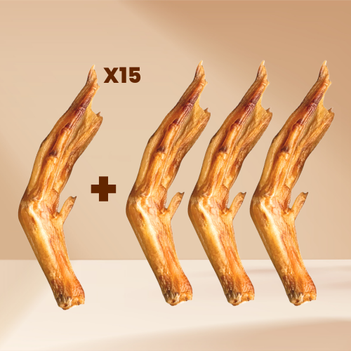 Duck Feet