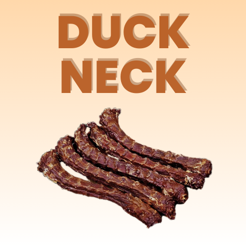 Crunchy Duck Neck