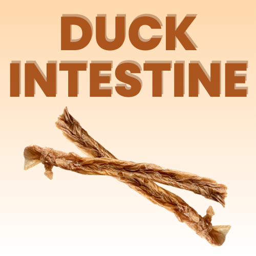 Crunchy Duck Intestine (Braided)