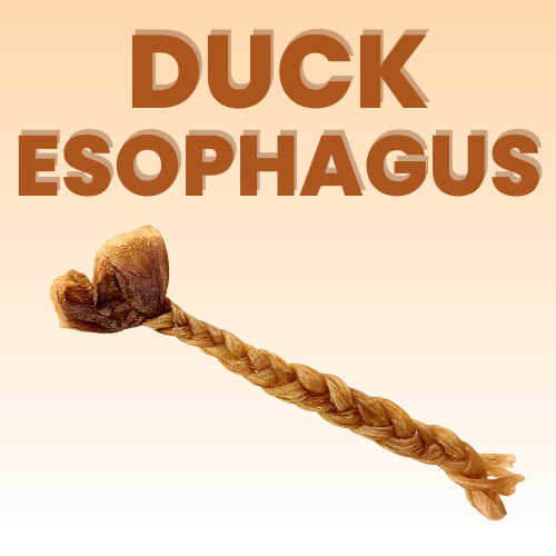 Crunchy Duck Esophagus (Braided)
