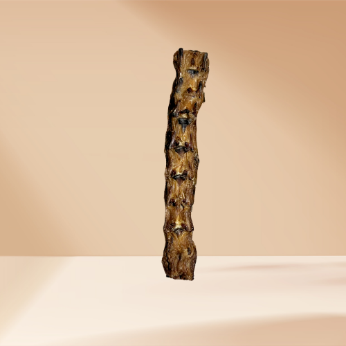 Crunchy Chicken Neck